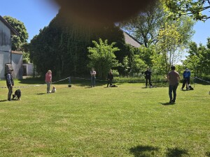 Ringtraining
