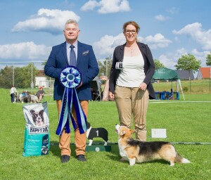 BEST IN SHOW