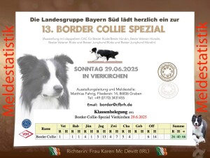 Meldestatistik Border25